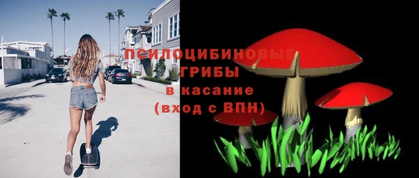 стафф Абаза
