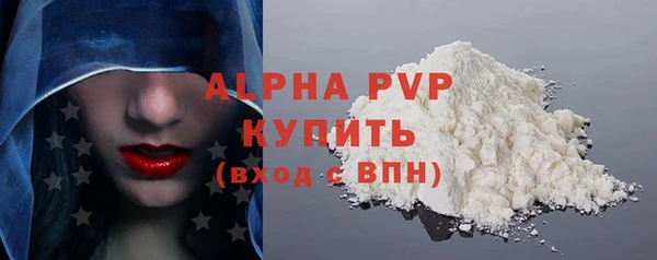 гашик Коряжма