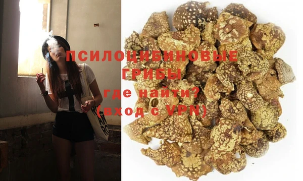 стафф Абаза