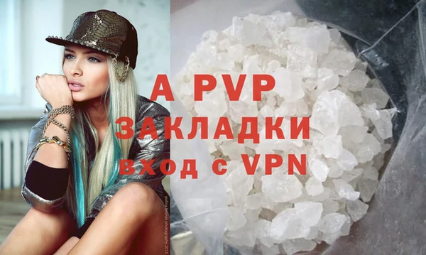 гашик Инсар