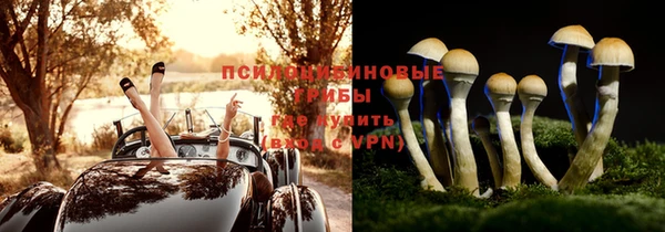 стафф Абаза