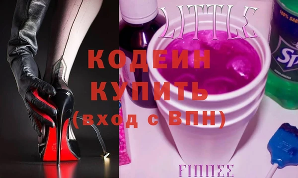крисы Инта